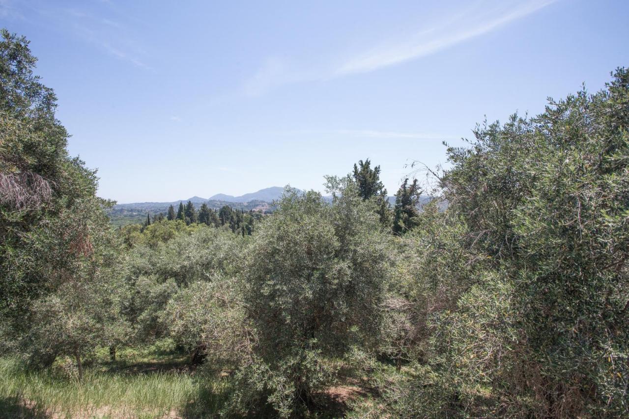 Olive Tree House Villa Evropouloi Bagian luar foto